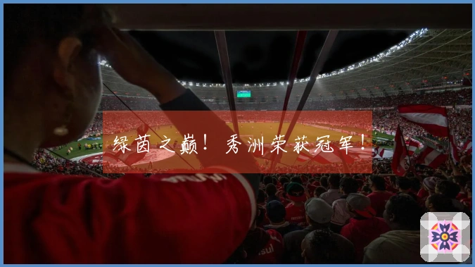 绿茵之巅！秀洲荣获冠军！