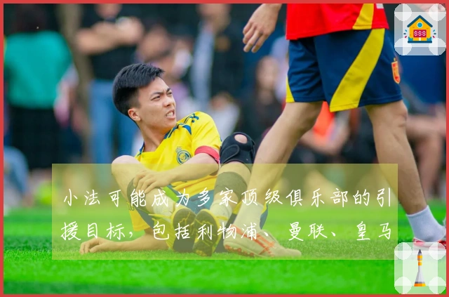 小法可能成为多家顶级俱乐部的引援目标，包括利物浦、曼联、皇马、热刺、米兰和马竞